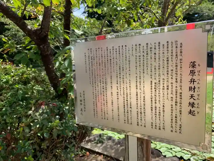 茂原弁財天の歴史