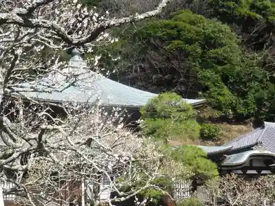 瑞泉寺のその他建物