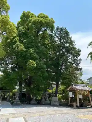 市場稲荷神社(大阪府)