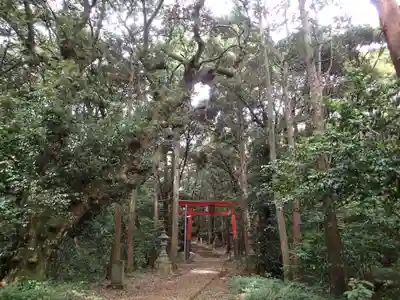 八雲神社の自然