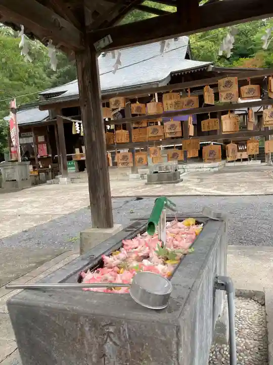 賀茂別雷神社の手水舎
