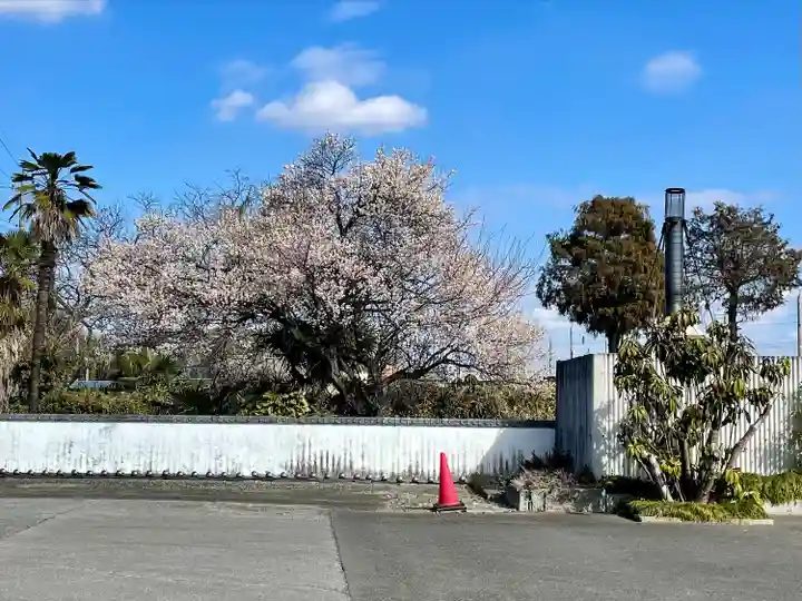 蓮行寺(栃木県)