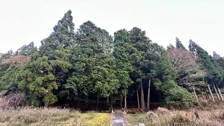 日吉神社(福井県)