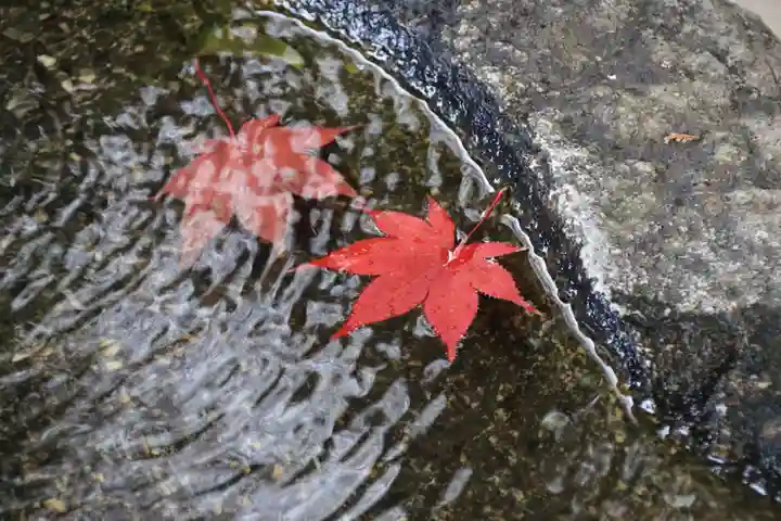 鹿島大神宮の手水舎