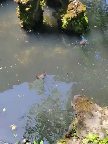 成田山新勝寺(千葉県)