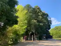 田中山観音堂(千葉県)