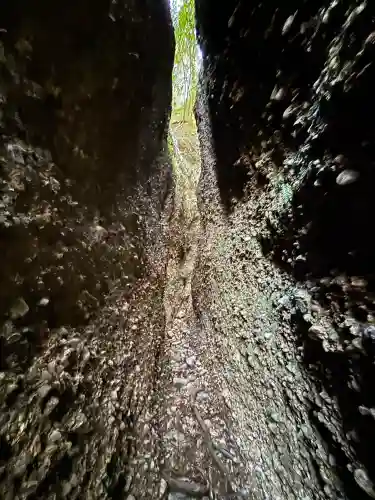 小笠神社の{uncategorized: "未分類", other: "その他", undefined: "問題あり", building: "その他建物", grave: "お墓", sacred_gate: "鳥居", guardian: "狛犬", statue: "像", buddha: "仏像", history: "歴史", nature: "自然", garden: "庭園", animal: "動物", pagoda: "塔", temizu: "手水舎", mountain_gate: "山門・神門", sanctuary: "本殿・本堂", subordinate: "末社・摂社", art: "芸術", scenery: "景色", jizo: "地蔵", ema: "絵馬", goshuin: "御朱印", omikuji: "おみくじ", items: "授与品その他", amulet: "お守り", goshuincho: "御朱印帳", eats: "食事", festival: "お祭り", votive_dance: "神楽", shichigosan: "七五三参", wedding: "結婚式", experience: "体験その他", initially: "初詣", around: "周辺", anti_infection: "感染症対策"}