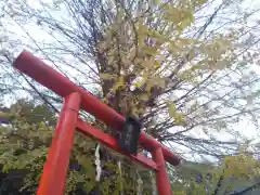 雷神社の鳥居