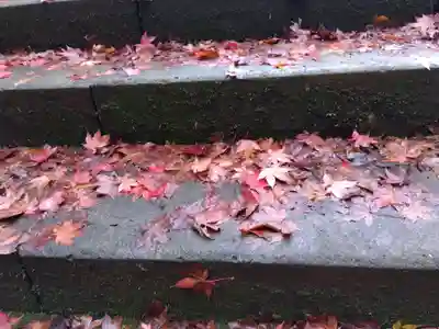 岡太神社(福井県)