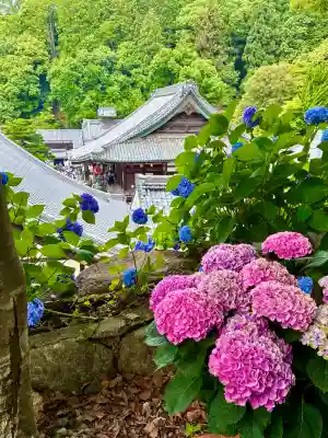 柳谷観音　楊谷寺(京都府)