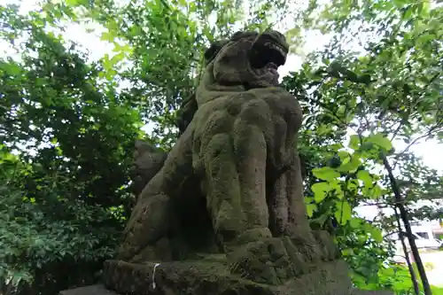 愛宕神社の狛犬