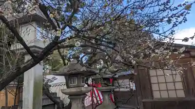 北野天満宮(京都府)