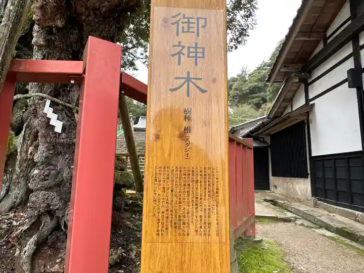 山王宮日吉神社のその他建物
