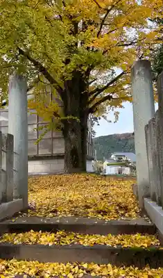 愛宕神社(福井県)