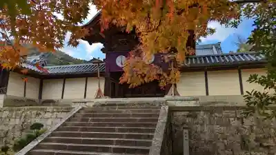 光明寺（粟生光明寺）(京都府)