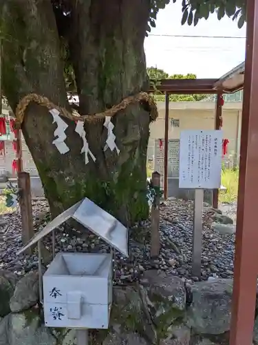 白山神社（二子町）の自然