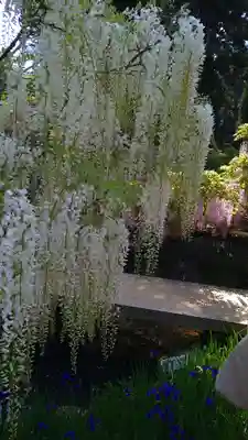 歌泉堂(春日大社神苑萬葉植物園内鎮座)(奈良県)