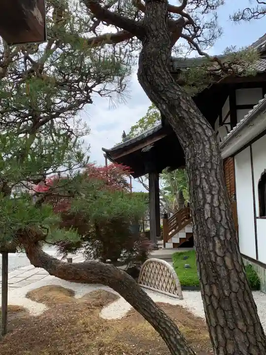 法玄寺(栃木県)