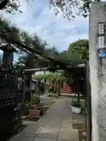 妙情寺(東京都)