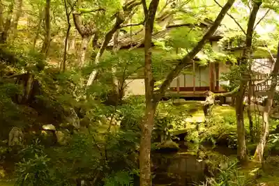 常寂光寺(京都府)