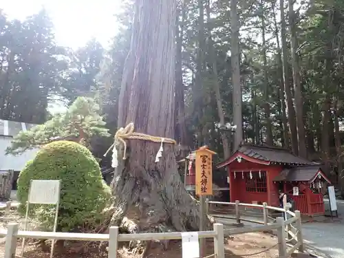 北口本宮冨士浅間神社(山梨県)