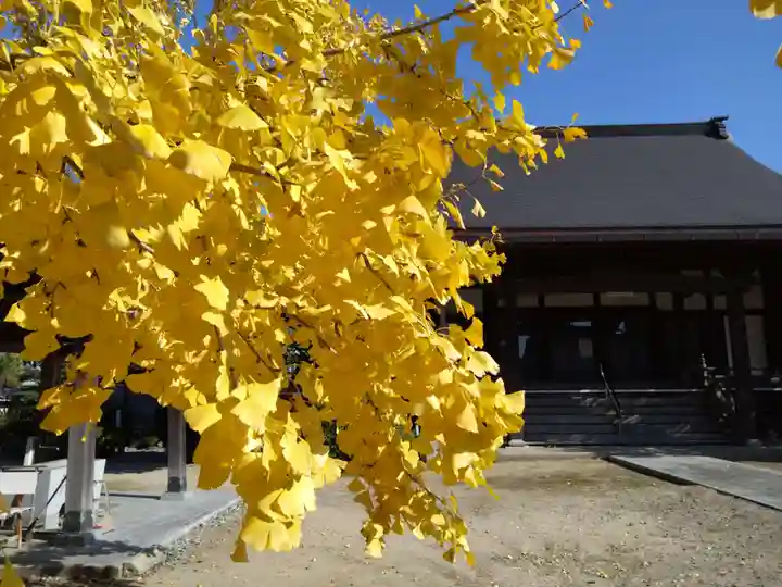 浄光寺(愛知県)