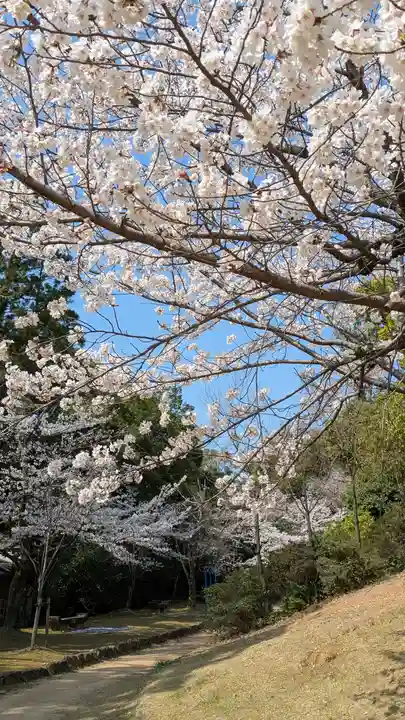 向日神社(京都府)