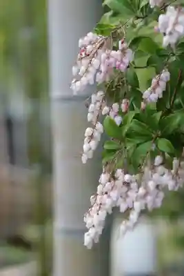 密藏院(埼玉県)
