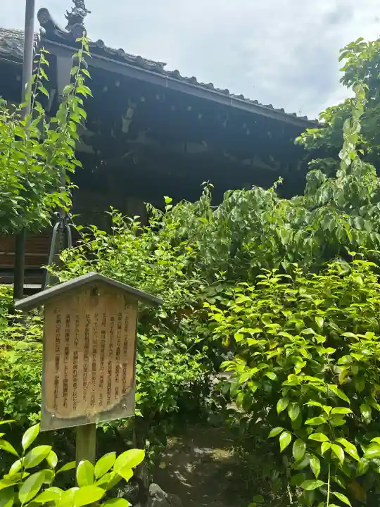 瑞泉寺の{uncategorized: "未分類", other: "その他", undefined: "問題あり", building: "その他建物", grave: "お墓", sacred_gate: "鳥居", guardian: "狛犬", statue: "像", buddha: "仏像", history: "歴史", nature: "自然", garden: "庭園", animal: "動物", pagoda: "塔", temizu: "手水舎", mountain_gate: "山門・神門", sanctuary: "本殿・本堂", subordinate: "末社・摂社", art: "芸術", scenery: "景色", jizo: "地蔵", ema: "絵馬", goshuin: "御朱印", omikuji: "おみくじ", items: "授与品その他", amulet: "お守り", goshuincho: "御朱印帳", eats: "食事", festival: "お祭り", votive_dance: "神楽", shichigosan: "七五三参", wedding: "結婚式", experience: "体験その他", initially: "初詣", around: "周辺", anti_infection: "感染症対策"}