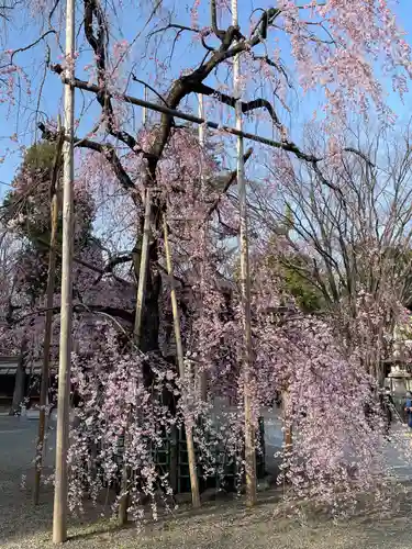 大國魂神社(東京都)