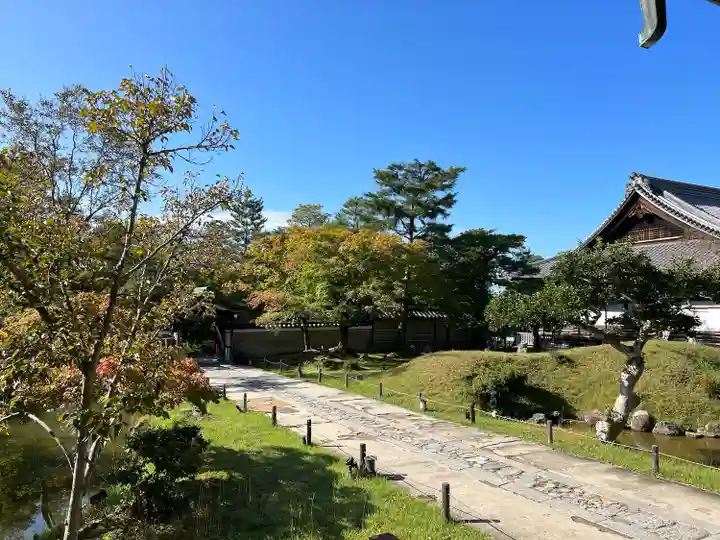 高台寺(高台寿聖禅寺・高臺寺)(京都府)