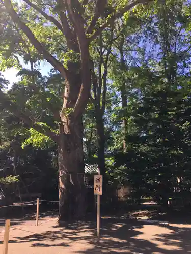 旭川神社の庭園