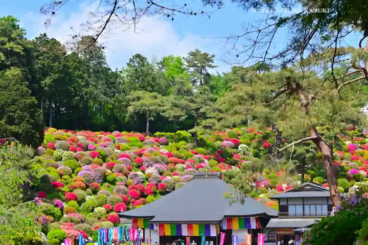 塩船観音寺(東京都)