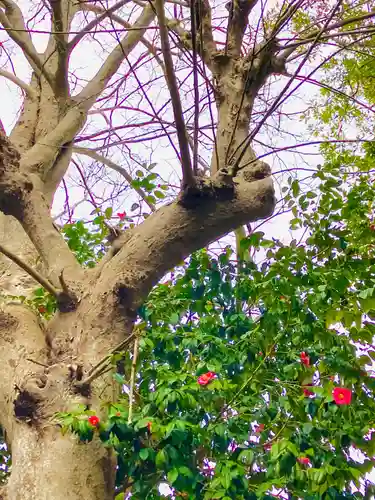 南宮神社(千葉県)