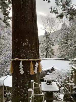 由岐神社(京都府)