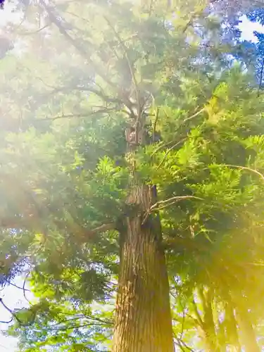 火皇子神社(千葉県)