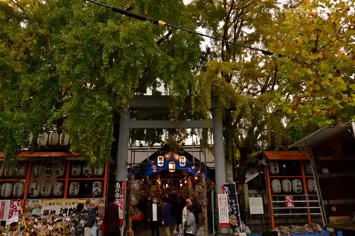 波除神社(波除稲荷神社)の鳥居