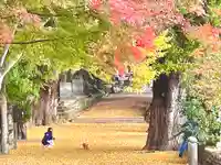 積田神社(三重県)