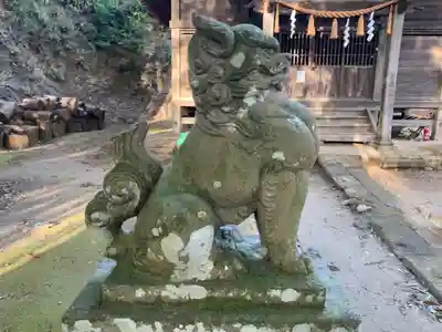 熊野神社の狛犬