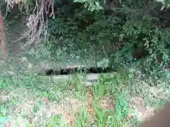 八坂神社/富士浅間神社の手水