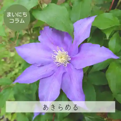 壽徳寺 じゅとくじ(福島県)