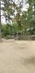 天橋立神社の鳥居