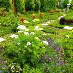 寿量山 速成寺の自然(2022年06月12日(日) 08時12分04秒投稿)