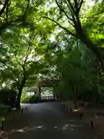 高円寺(東京都)