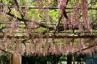 曼陀羅寺(愛知県)