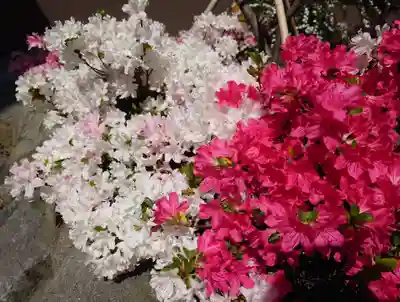 日枝神社(静岡県)