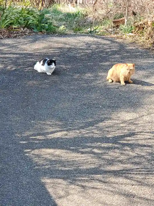 稲荷神社(今福町)(栃木県)