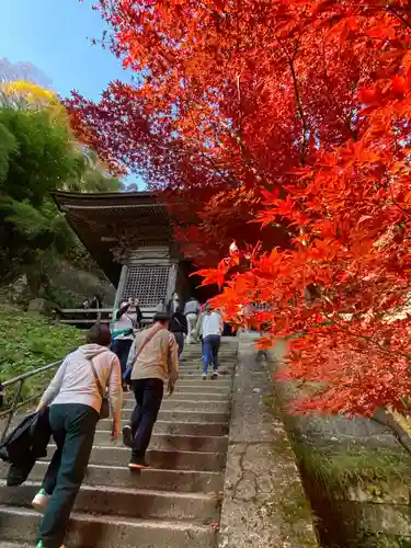 宝珠山 立石寺の山門