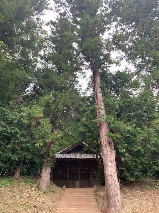 熊野神社の自然