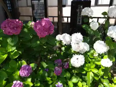 十日恵比須神社(福岡県)